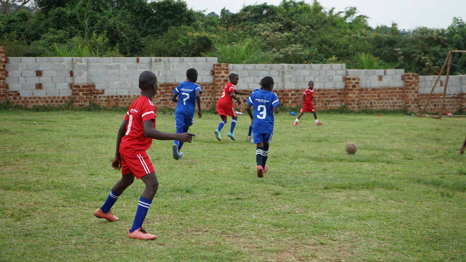 Professional pathway